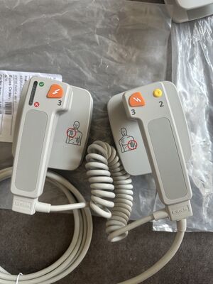 Philip DFM100 M3543A / 989803196431 PADDLE